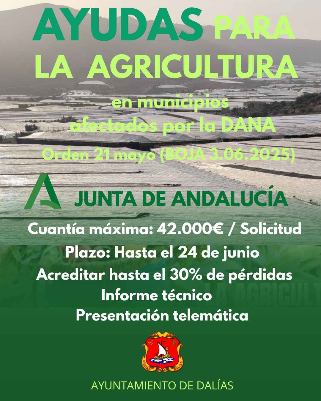 Noticia